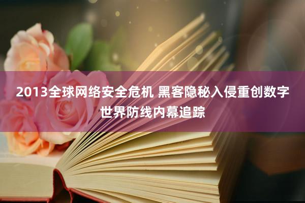 2013全球网络安全危机 黑客隐秘入侵重创数字世界防线内幕追踪